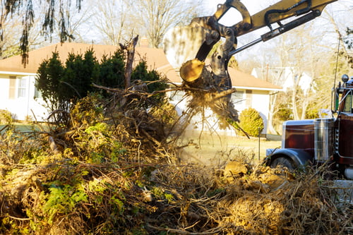 GA Tree and Dump Service crew removing a large tree in Loganville, Georgia
