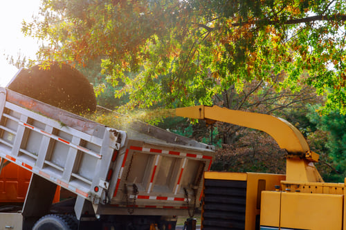 GA Tree and Dump Service crew loading brush onto a truck